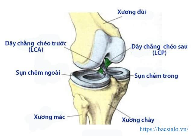Biểu hiện đau sụn khớp