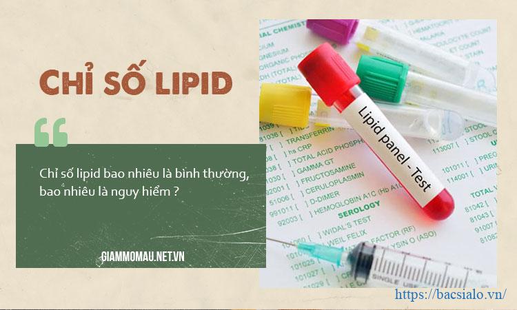 Chỉ số lipid máu là gì?