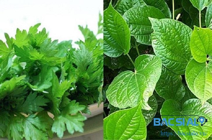 Điều trị viêm khớp liên cầu từ dược liệu trong vườn