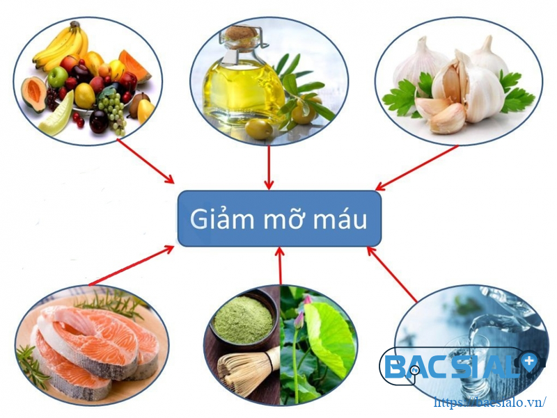 20190808 082523 492734 pasted image 0 28.max 800x800 1 Các thực phẩm giảm mỡ máu