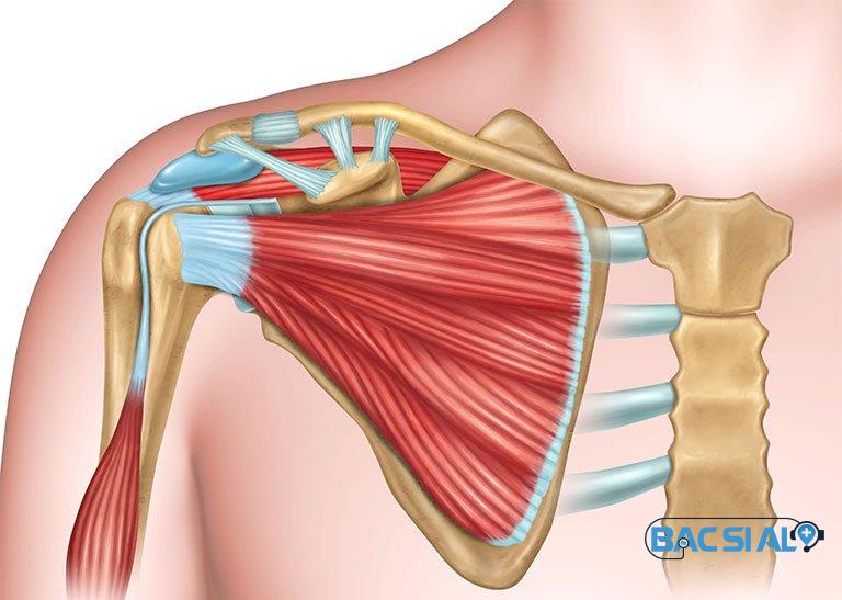 Dau nhuc ba vai Đau khớp vai biểu hiện như thế nào